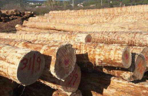 英国木材供不应求 价格上涨需求量持续增强
