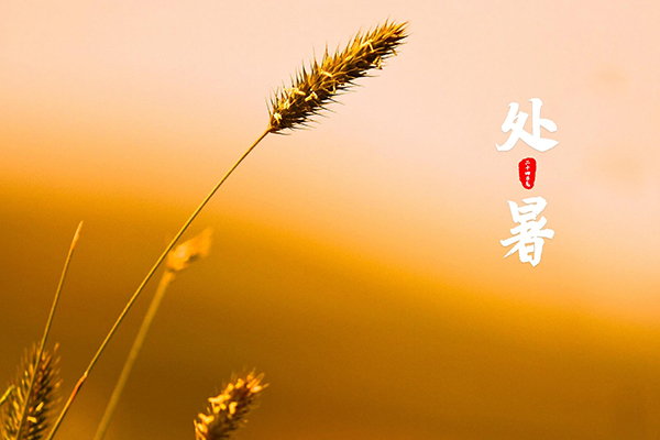 一成木业 | 珊珊来迟的秋风,清凉了半个夜空的沉睡