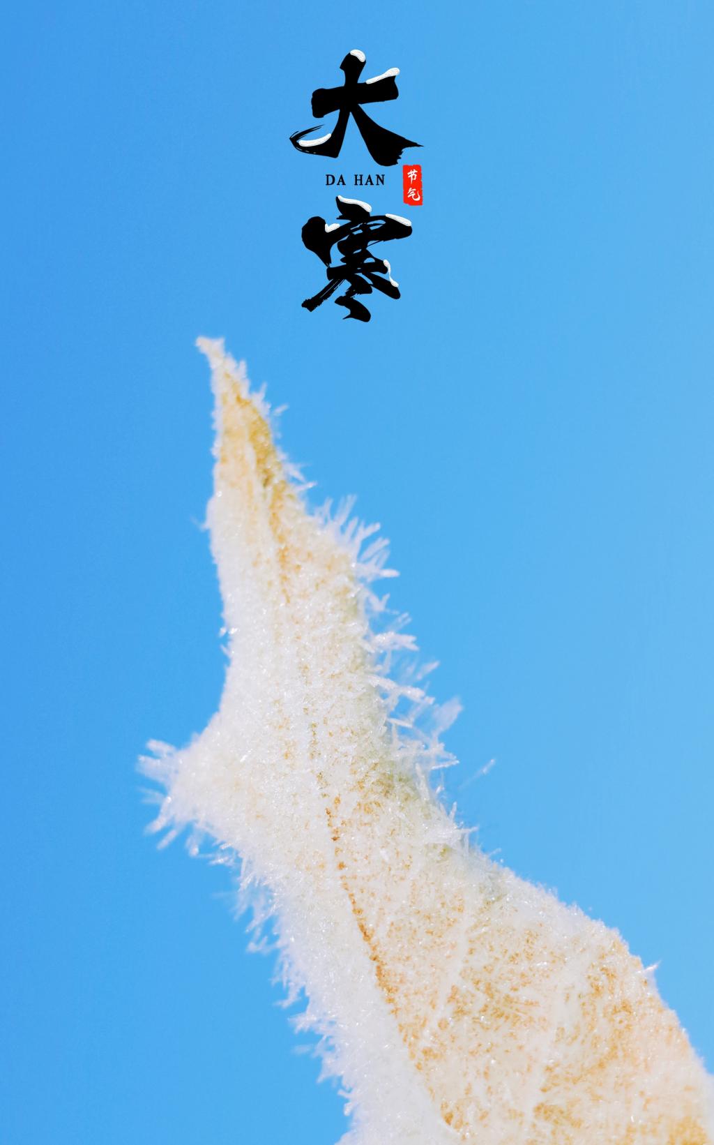 一成木业 | 大寒已至,春不远